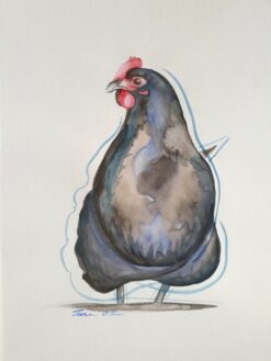 Little Black Hen