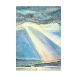 Rays at Evans Head